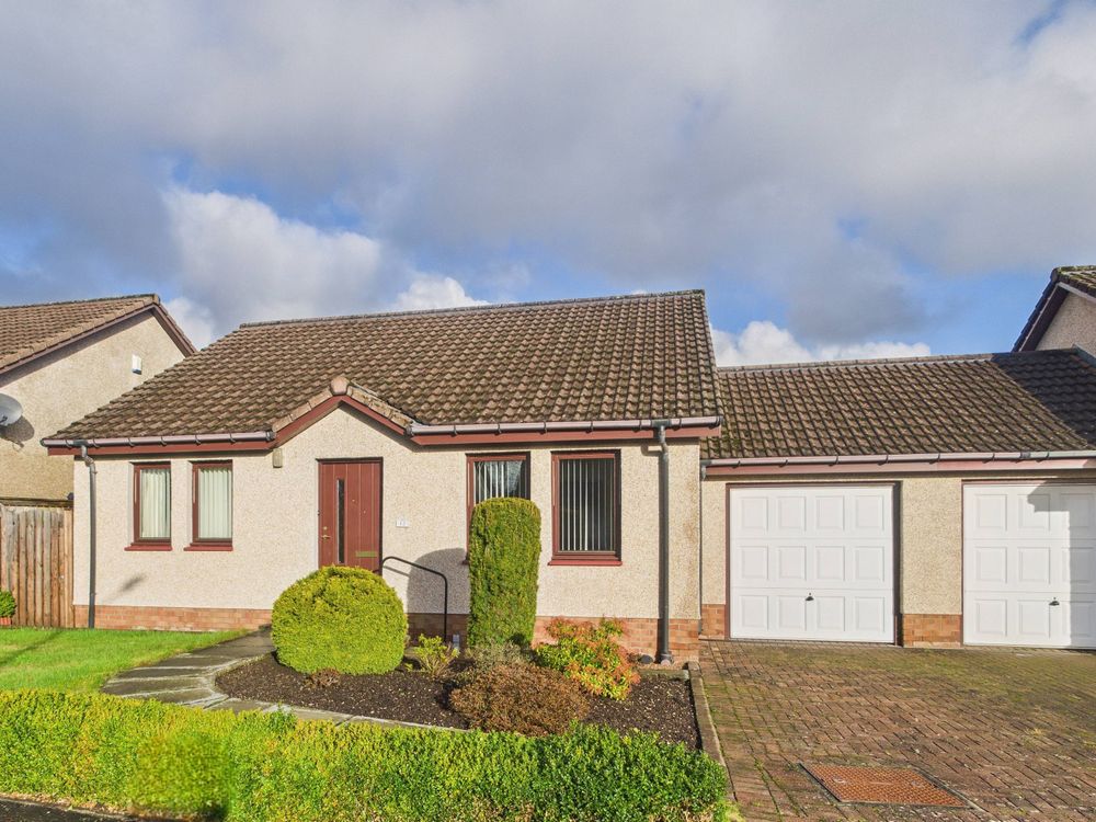 Honeyberry Crescent